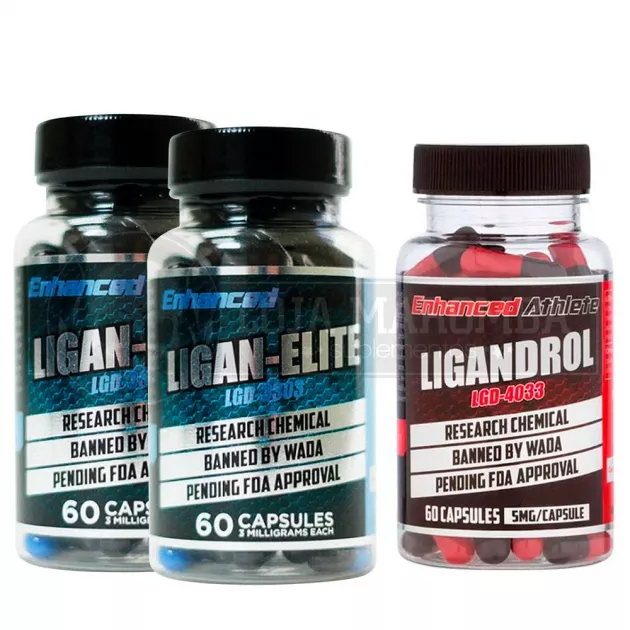 Combo Ligan Super Mass 2X Ligan Elite LGD 3303 + 1 LGD 4033 (Ligandrol) 5mg (60 Caps) - Enhanced