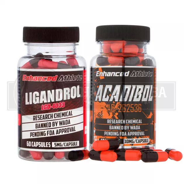 Combo para Bulking LGD4033 Ligandrol + Acadibol (AC-262) - Enhanced Athlete